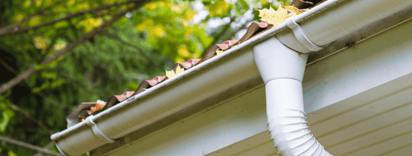 Gutter & Drainage Management